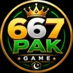 Featured image for the 667PAK Game guide