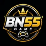 Featured image for the BN55 guide